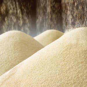 Yeast-In instant sütőélesztő